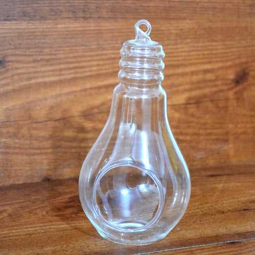 Bulb Shaped Terrarium Glass Bowl