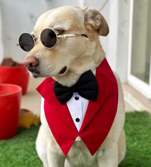 Red Velvet Tuxedo Vest Bandana