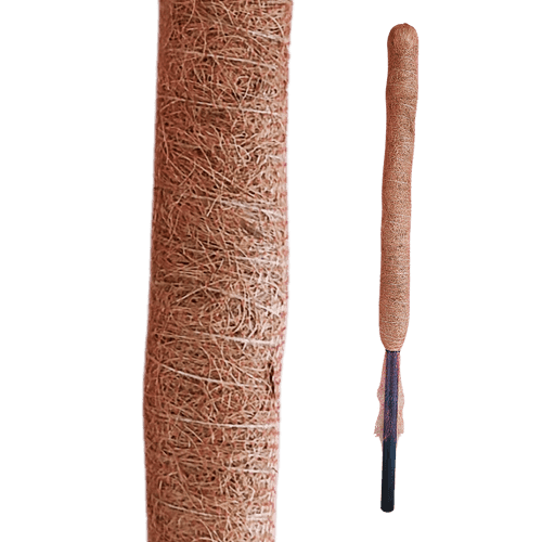 Moss & Coir Stick for Plant Support, Indoor Plants, House Plants & Plant Creepers.
