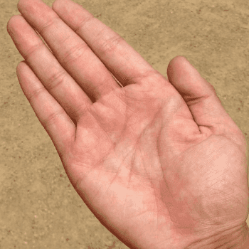 Get Palmistry Reading Report