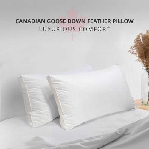 Deslay Canadian Goose Down Feather Pillow