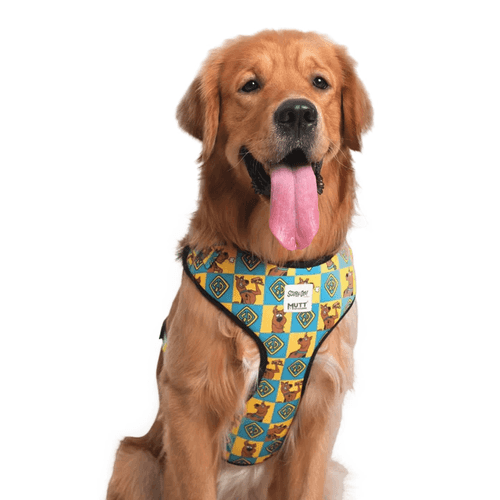 Scooby Dooby Doo Dog Harness