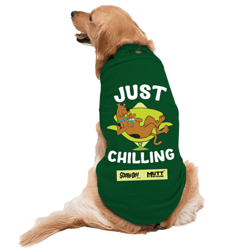Scooby Doo Just Chilling Dog T-Shirt