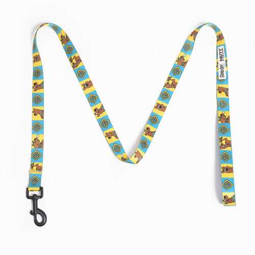 Scooby Dooby Doo Leash