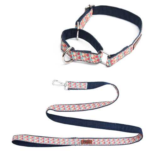 Candy Barr Martingale Denim Collar + Leash Set