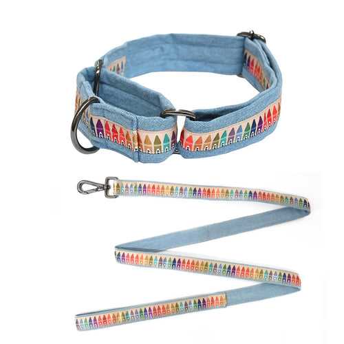 Cool School Martingale Denim Collar + Leash Set