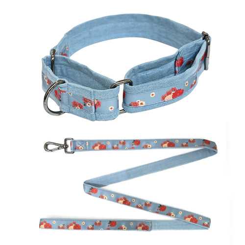 Pawesome Blossom Martingale Collar + Leash Set