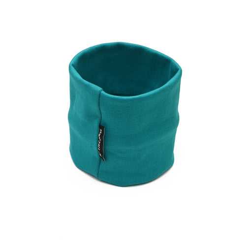 Turquoise Ear Muff For Dogs
