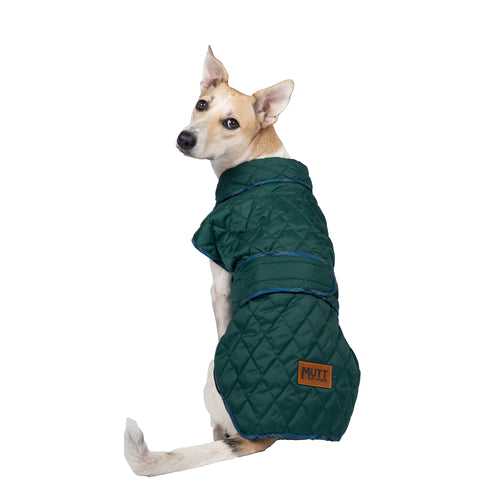 Quilted Green Winter Jackets For Dogs