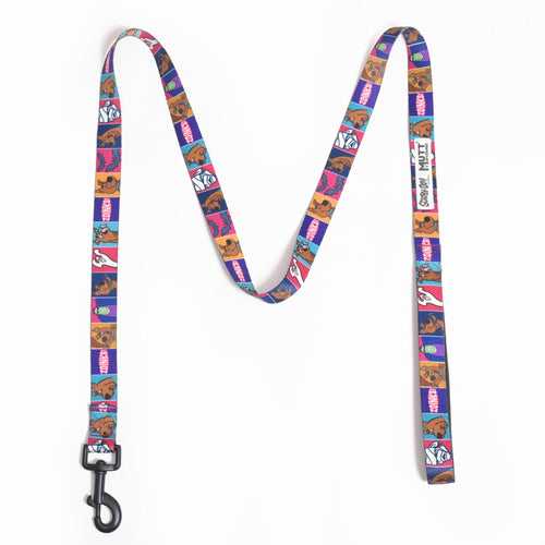 Scooby & Scrappy Adventure Dog Leash