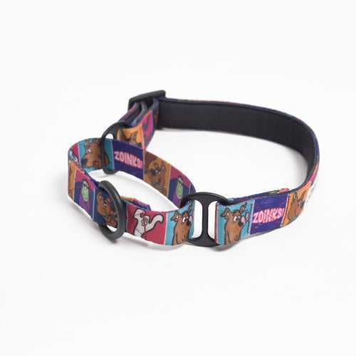 Scooby & Scrappy Doo Dog Martingale Collar