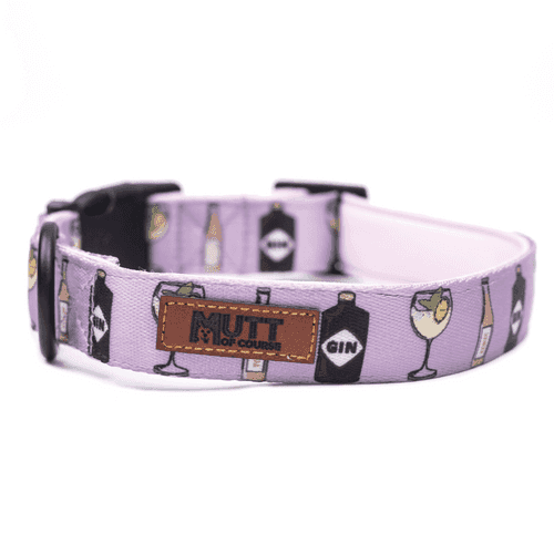 Gin N' Tonic Adjustable Collar