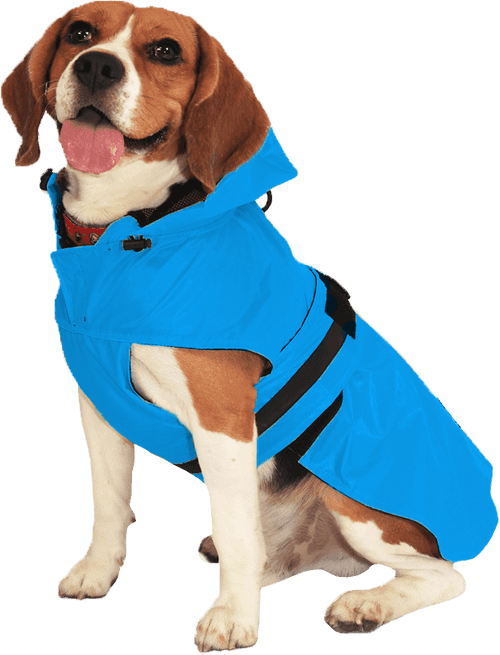 Sky Blue Dog Raincoat