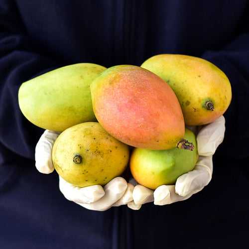 Mango / Aam - Rasalu Small (Semi Ripe)