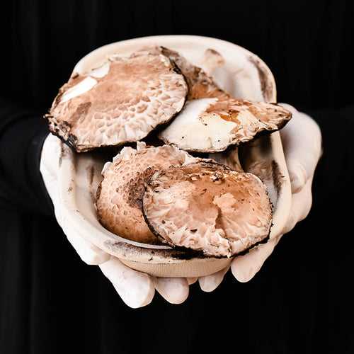 Mushroom- Portobello