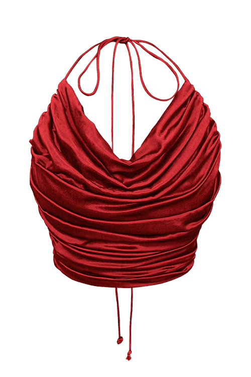 Steely Halter Top in Red