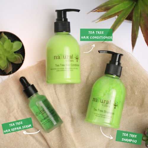 Tea Tree Hair Care Regime For Dandruff, Hair fall & Damaged Hair