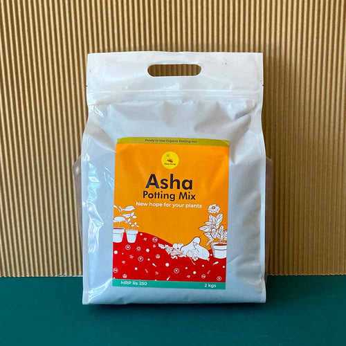 Asha Potting Mix 4kg for healthy plants and soil