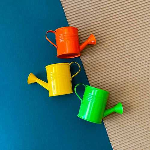 Tiny Metal watering spray can for mini home garden