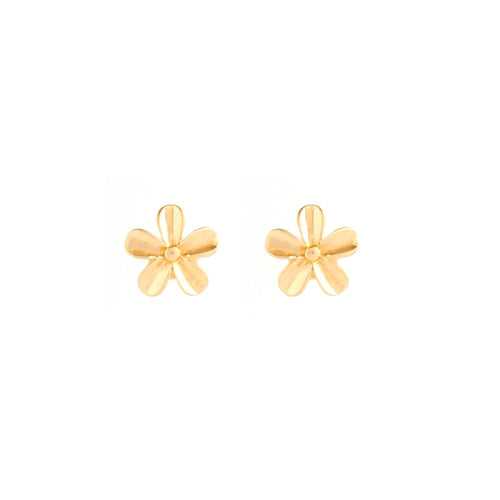 Wish of the Day Gold Stud Earrings