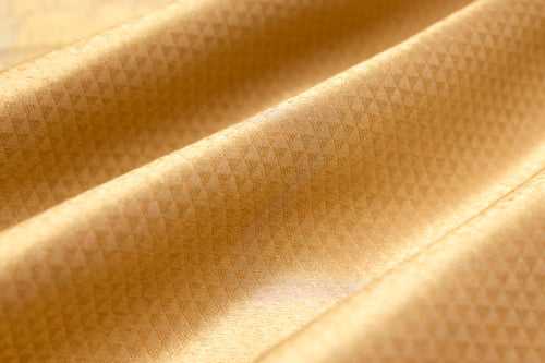 Gold Handwoven Banarasi Tissue Silk Fabric