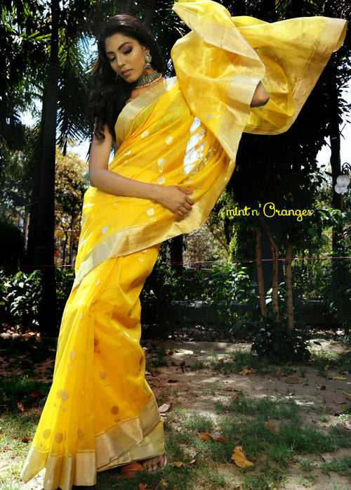 Sunehri Saree