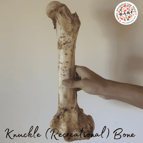 Knuckle (Recreational) Bone - 1pc