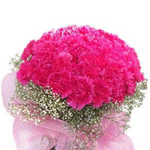Pretty Pink Carnations