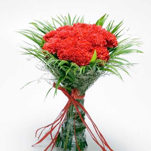 Pretty Red Carnations
