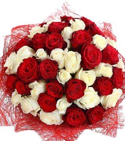 Valentine Red & White Bonanza