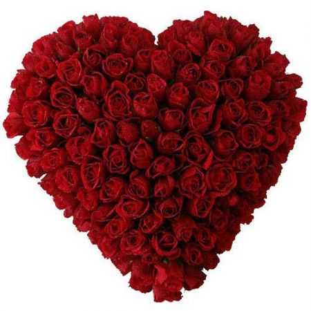 The Precious Heart of 100 Roses.