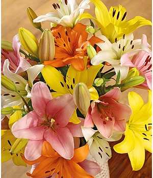 Exotic Colorful Lilies.