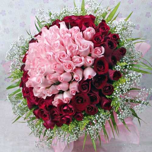 Romance of Pretty Pink & Red _100 Blooms