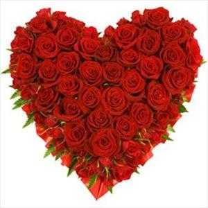 Hearty 40 Premium Red Roses
