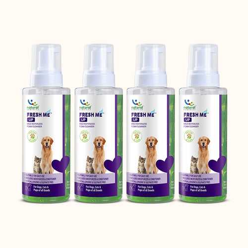 FRESH ME UP (Pack of 4)- For Dogs & Cat