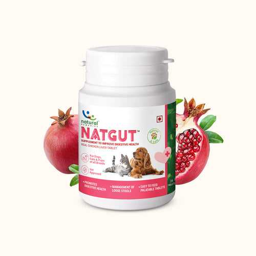 NATGUT - Digestive Supplement For Dog & Cat