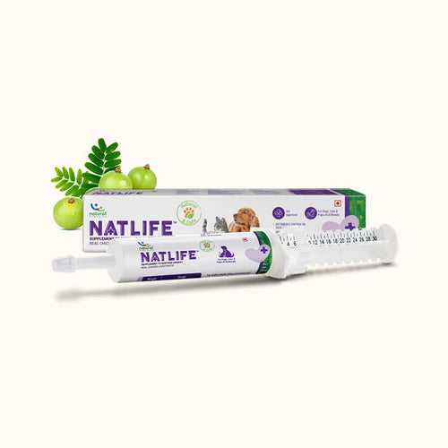 NATLIFE - Energy & Immunity Supplement