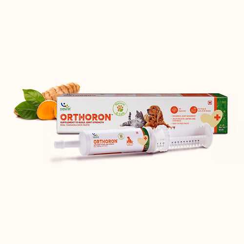 ORTHORON PASTE - Pet Joint Supplements