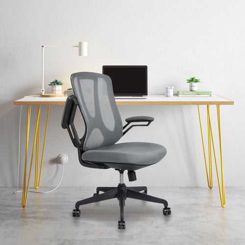 Dream Black Mid Back Ergonomic Office Chair in Grey Color