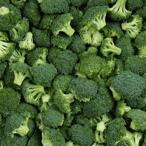 Broccoli Green - Organic Vegetable Seeds