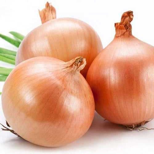 Onion Seeds | Ulli Vegetable Seeds