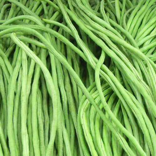 Valli Payar (Chayam) | Green Long Payar Seeds