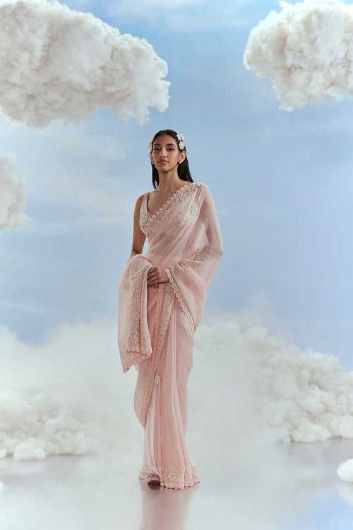 Babylon Saree with Babylon Blouse