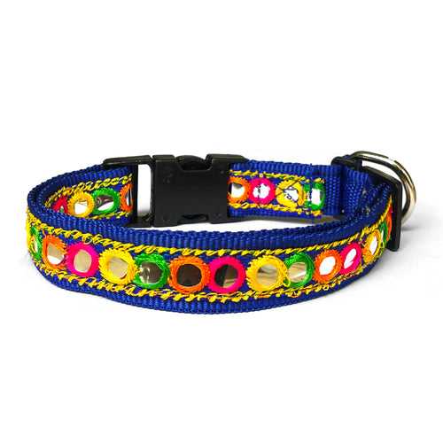 Festive Garba Dog Multicolor Collar - Blue