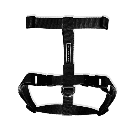 TDIT H-Harness - Black