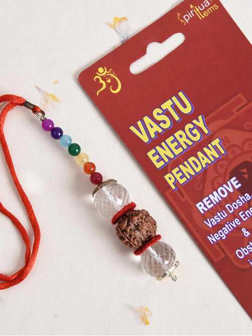The Divine Rudraksha Vastu Energy Pendant