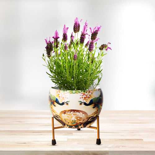 Indoor Metal decor Vase/Planter- Multicolor