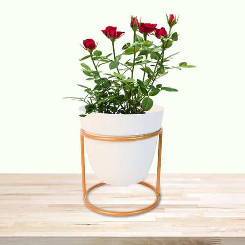 Indoor Metal decor Vase/Planter- White