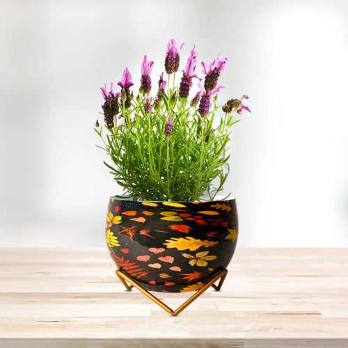 Indoor Metal decor Vase/Planter- Multicolor