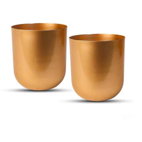 Indoor Metal decor Vase/Planter- Gold Set of 2